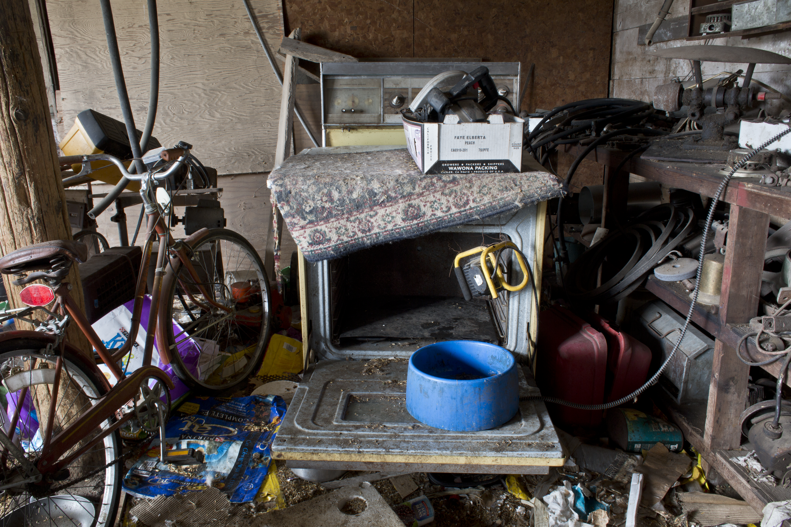 Abandoned Farm Study: "Bicycles, an Oven and a Dog Bowl" 2015