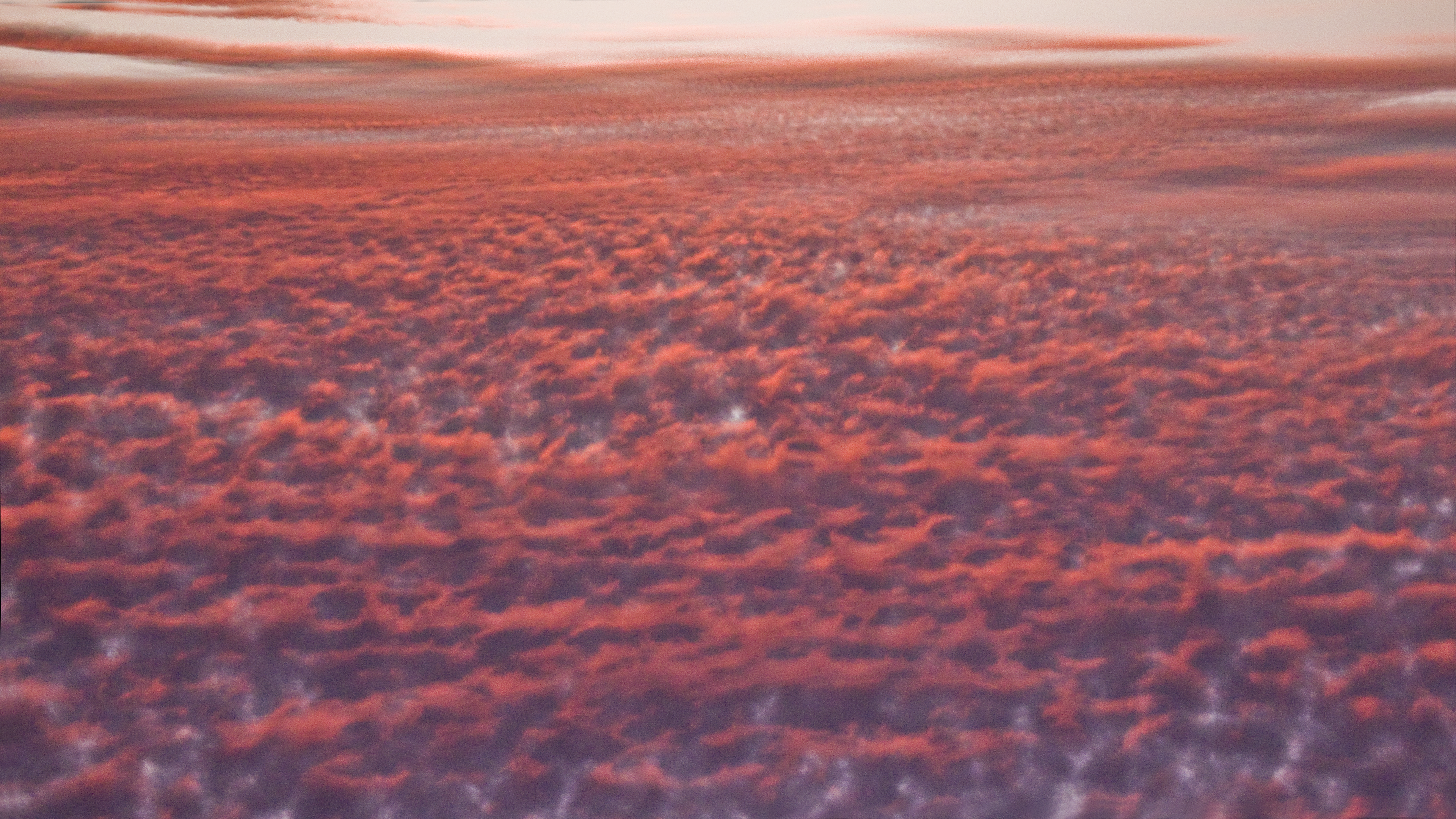 "Strawberry Sunset" Photography 2009